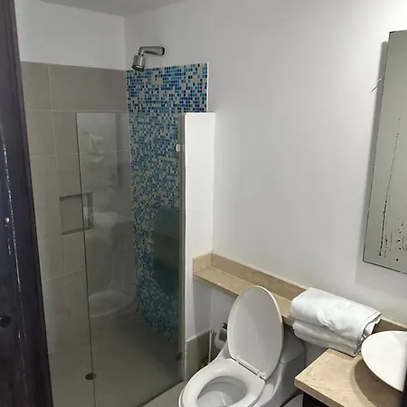 Ajedrez Palmetto Eliptic Apartamento *